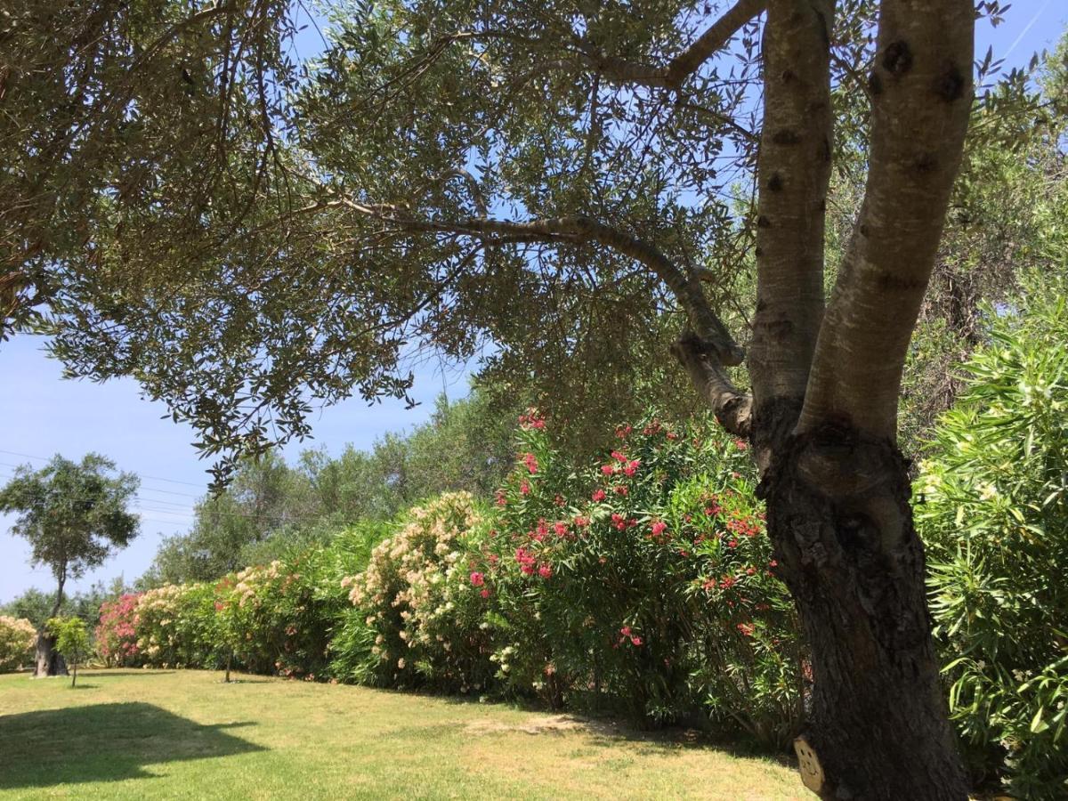 Villa Gecko, Arillas Kavvadades Eksteriør billede
