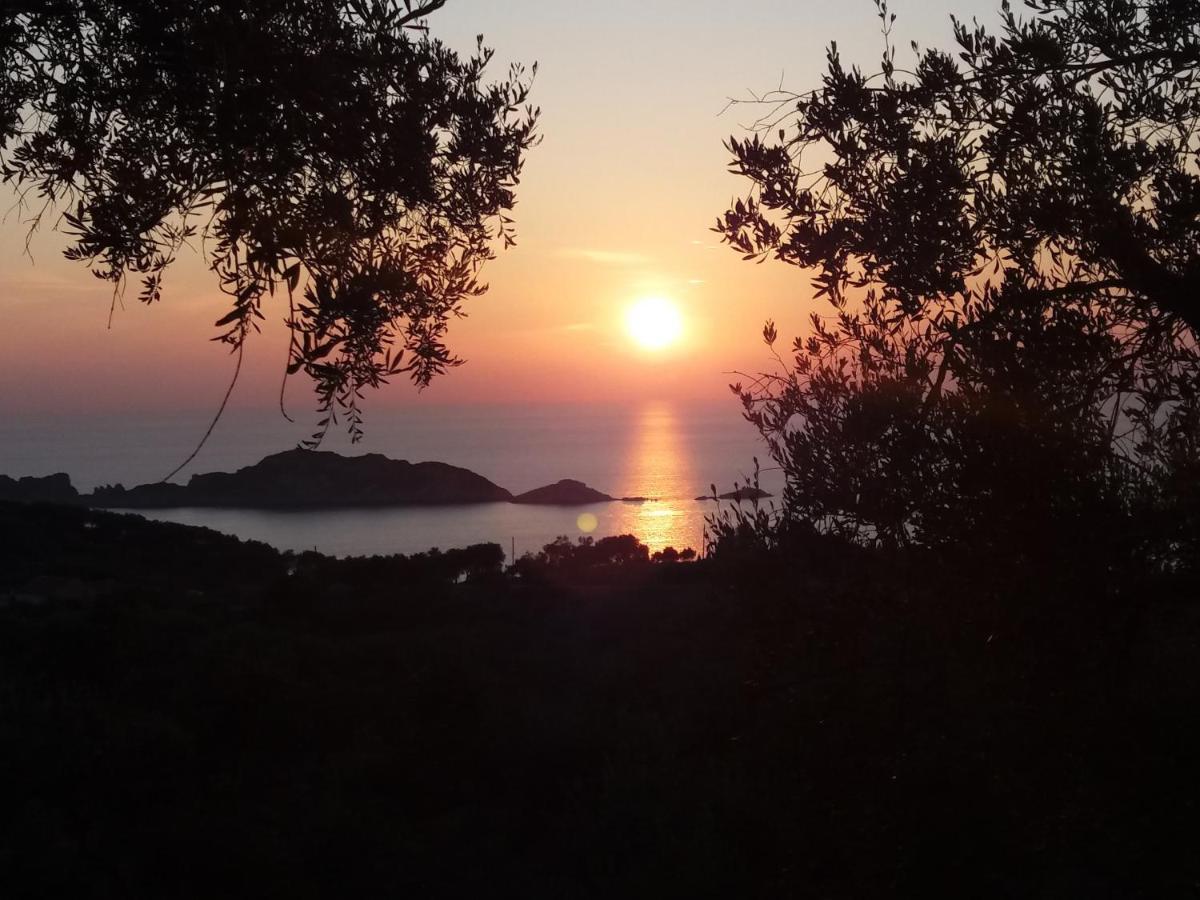 Villa Gecko, Arillas Kavvadades Eksteriør billede