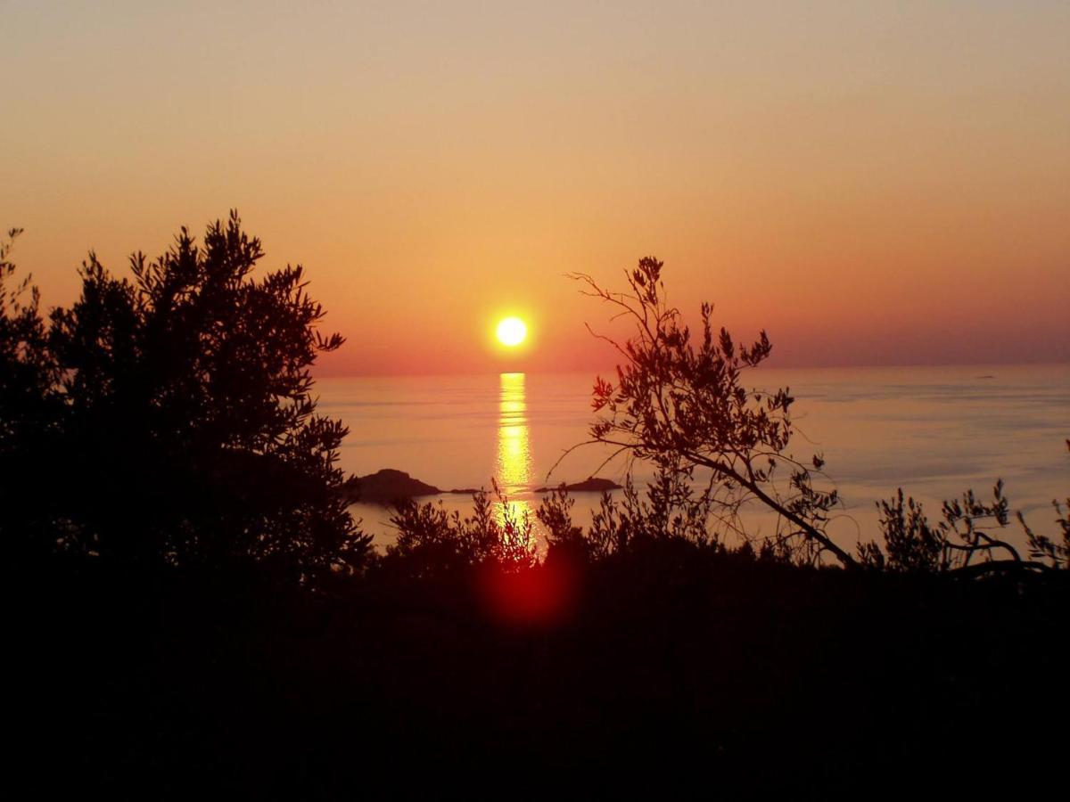 Villa Gecko, Arillas Kavvadades Eksteriør billede