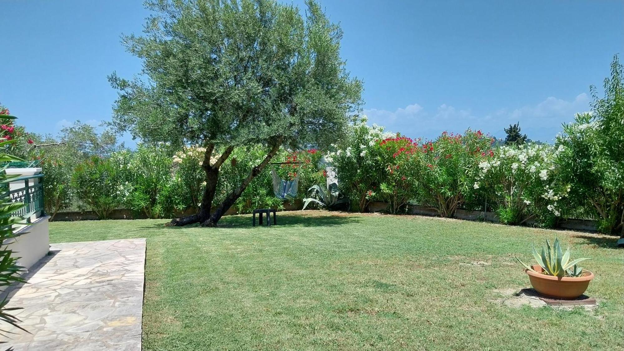 Villa Gecko, Arillas Kavvadades Eksteriør billede