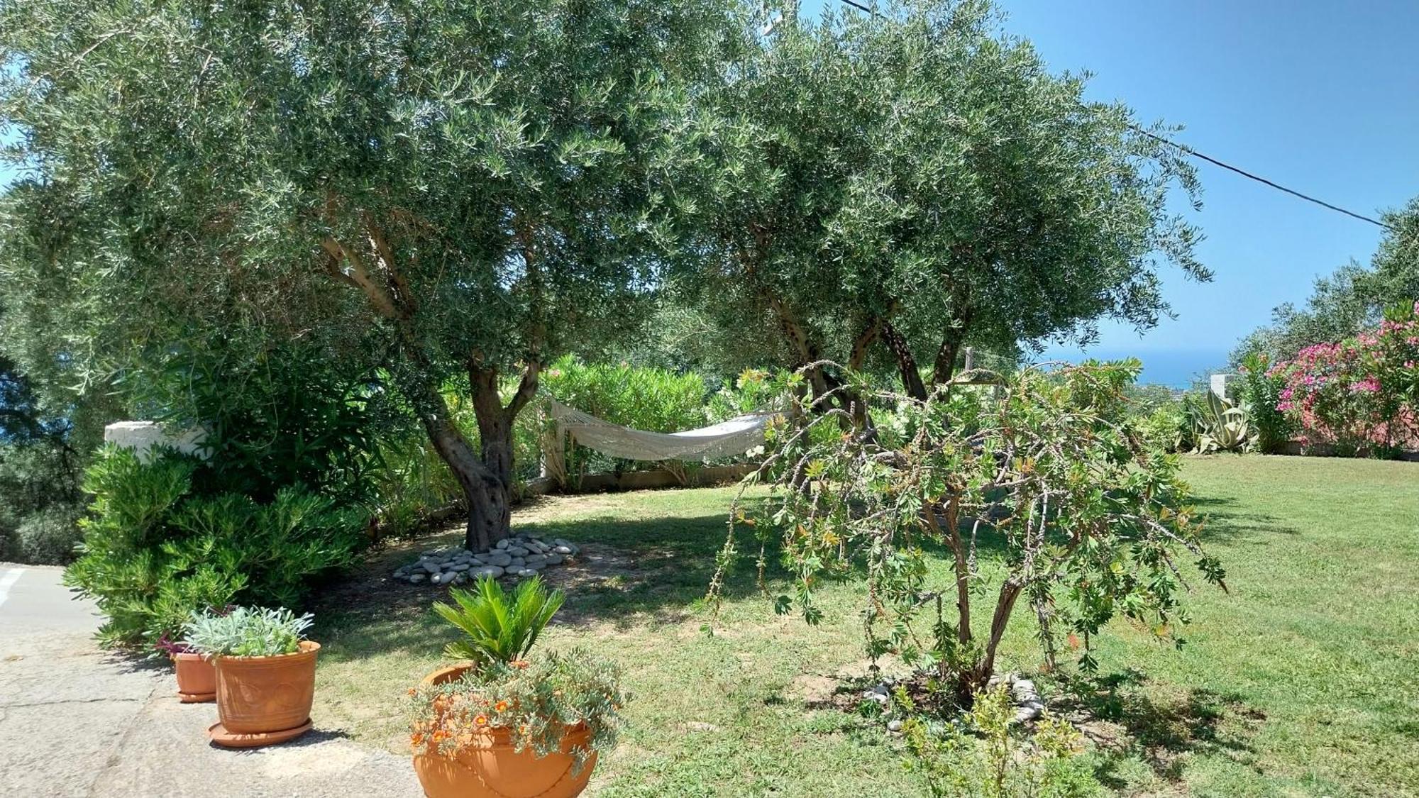 Villa Gecko, Arillas Kavvadades Eksteriør billede